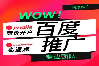 SEM广告投放的竞价策略与效果评估案例